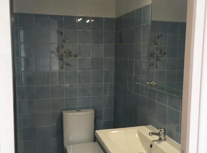 فندق L Du Lion D Or 2*